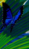 t19